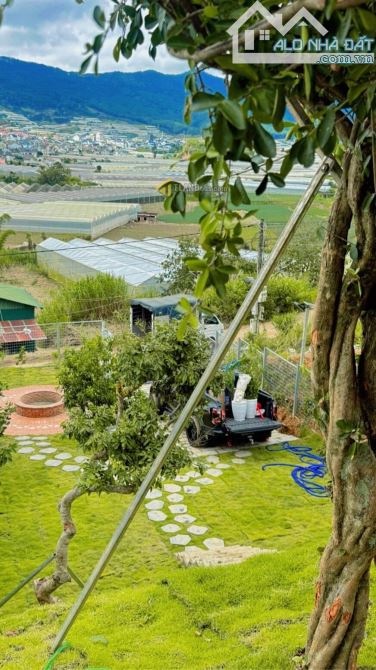 Nhà cấp 4 sân vườn view đẹp đường Đankia, P.LangBiang ( p7 cũ ), Đà Lạt - 1