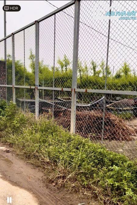 BÁN ĐẤT MẶT ĐÊ QUAI NHẬT TÂN, – 450M² – Ô TÔ TRÁNH – GẦN KHO GHN – CÓ NHÀ CẤP 4 - 1