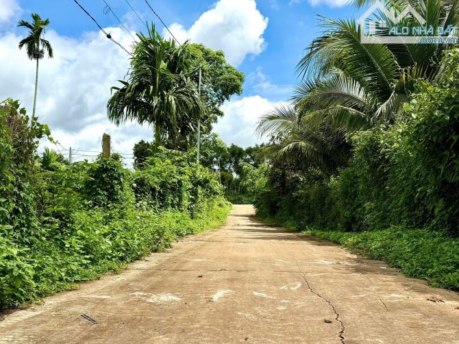 🔥 BÁN ĐẤT NGAY CỔNG CHÀO CƯ SUÊ – CƯ MGAR - ĐAKLAK 780Triệu - 1