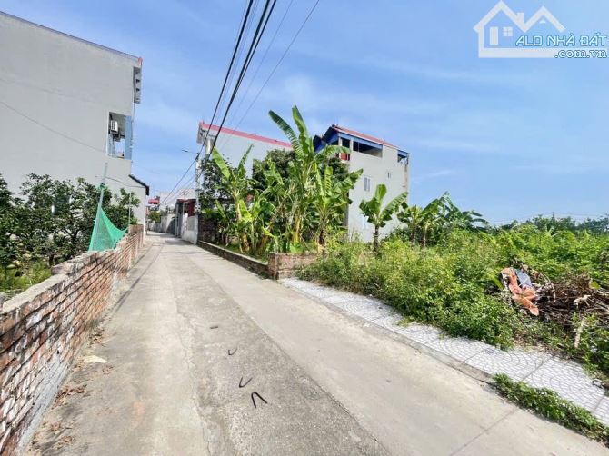 ✨️ Tổ 9- TT Quang Minh- Mê Linh- HN 📕 S=96m.ful thổ cư-💰=4xtr/m 🌻 Mt =Hậu=4,3m vuông vắ - 1