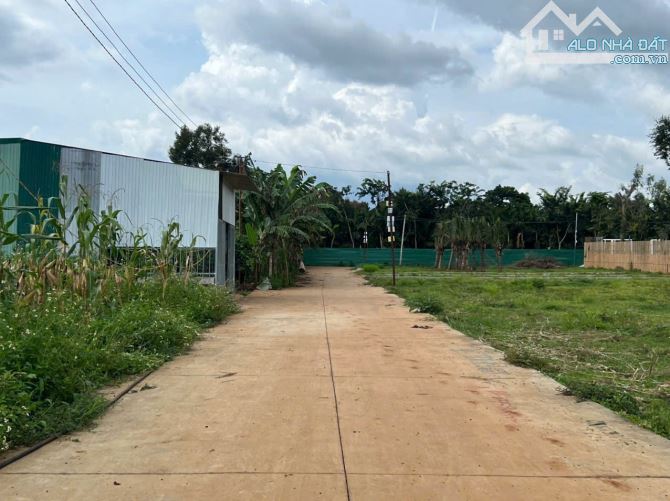 Đất buôn Krong A đối diện ủy ban phường Tân An đi vào - 1