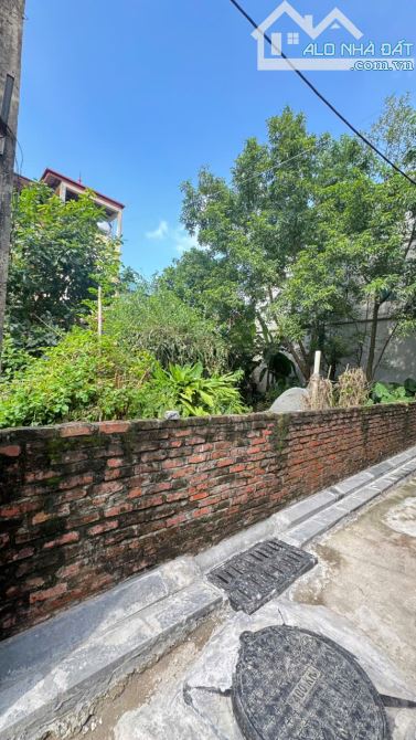 ⚡ SỐT ĐẤT MAI LÂM – 46M² ĐẸP KHÓ TÌM – GIÁ CỰC MỀM – MUA NGAY! ⚡ - 1