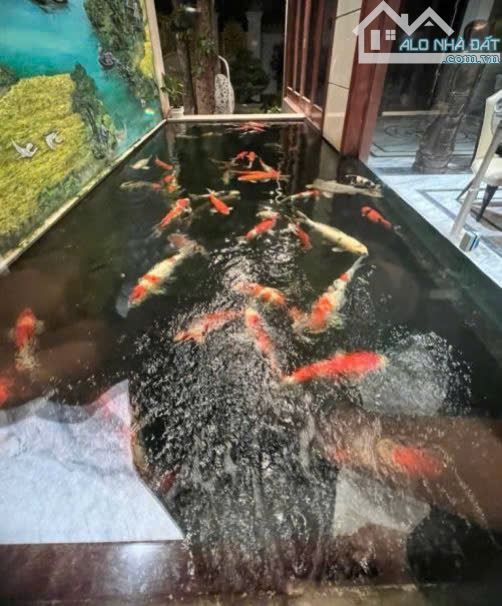 BÁN SIÊU PHẨM CĂN BIỆT THỰ 3 TẦNG, DIỆN TÍCH 650M2, THANG MÁY, HỒ BƠI, KHU VIP HOÀ XUÂN - 14