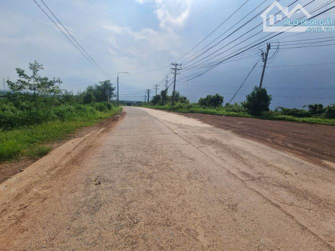 Bán 3 lô đất tân an vĩnh cửu thích hợp đầu tư xây nhà xưởng giá siêu rẻ - 2