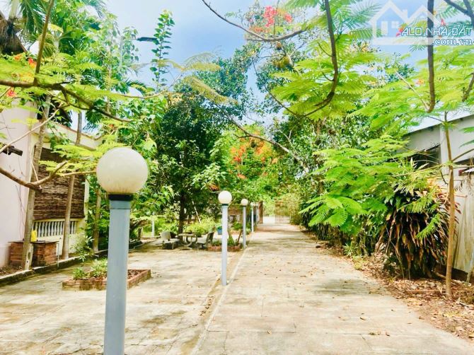 Cần bán đất mặt tiền đường Tỉnh Lộ 15 xã An Phú Củ Chi DT 914m2 150m2 Thổ cư - 2