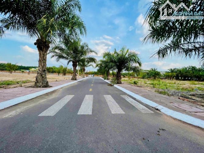 ĐẤT NỀN LONG THÀNH CÁCH SÂN BAY 5KM GIÁ CHỈ 12 TRIỆU/M². SỔ HỒNG RIÊNG. LIÊN HỆ NGAY!!!! - 2