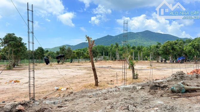 MẶT TIỀN NHỰA THỊ TRẤN PHƯỚC HẢI - LONG ĐẤT - BRVT ( Nay là Xã Phước Hải - TP HCM) ; ĐI BI - 2
