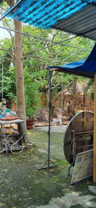 ĐẤT GIÁ RẺ NHẤT KHU VỰC, 2 MẶT HẺM Ô TÔ, 300m2, LÊ VĂN TÁCH, SÁT QL1A, CHỈ 20TR/M2 - 2