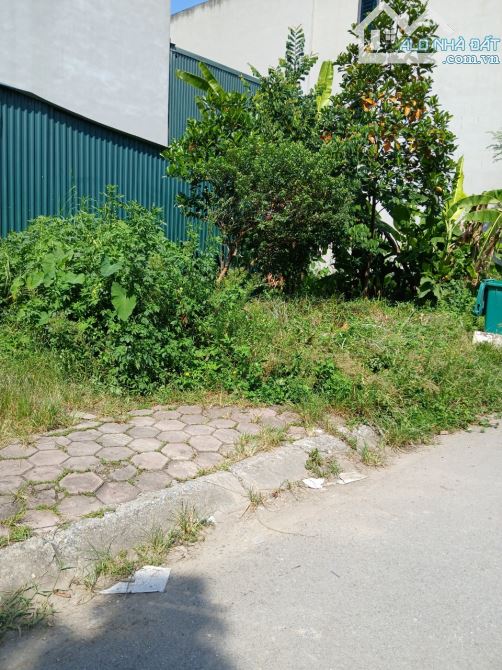 Bán đất dịch vụ Tân Tây Đô, kích thước đẹp view thoáng vĩnh viễn, 56m2. - 2