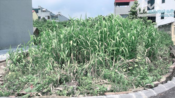 🔥 LÔ GÓC VỊ TRÍ ĐẸP – ĐƯỜNG NHỰA Ô TÔ VÀO TẬN ĐẤT 🔥  ✅ Thông tin chuẩn: 	•	Diện tích: 57 - 2