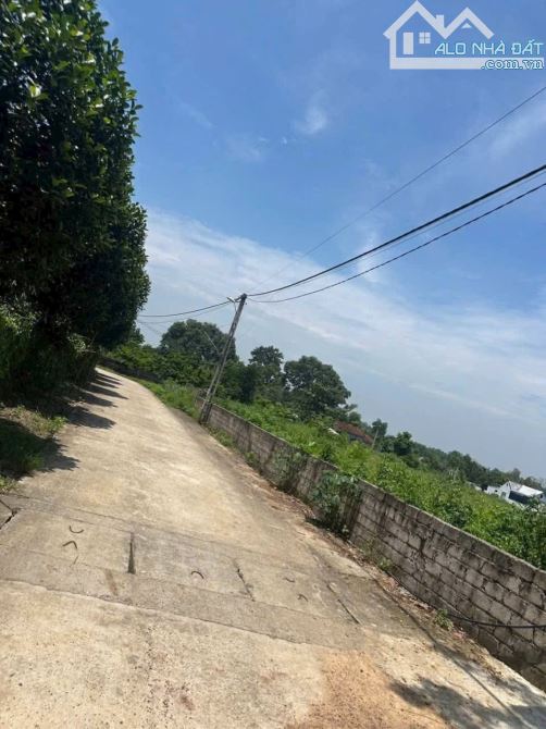 Mặt đường xóm Dự, Cẩm Lĩnh. Siêu đẹp - 2