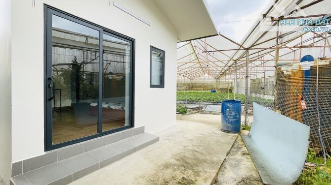 BÁN NHÀ CẤP 4 500m² (ngang 22m, dài 25m)VƯỜN RỘNG HẺM XE HƠI ĐƯỜNG AN BÌNH, P.03, ĐÀ LẠT - 2
