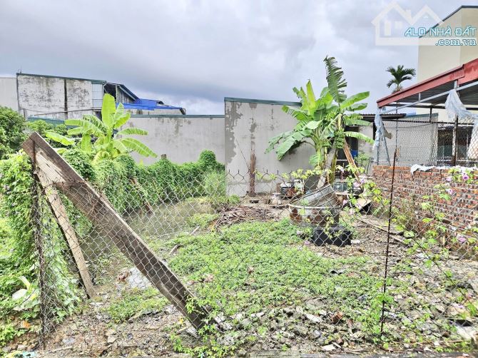 Bán đất 40m2 tại tổ giữa Lương Quy, Nam Sơn, An Dương giá 1,1 tỷ - 2