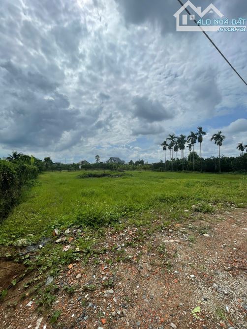 Đất nền sổ riêng, thổ cư. 100m² Tân Triều, Đồng Nai - 2