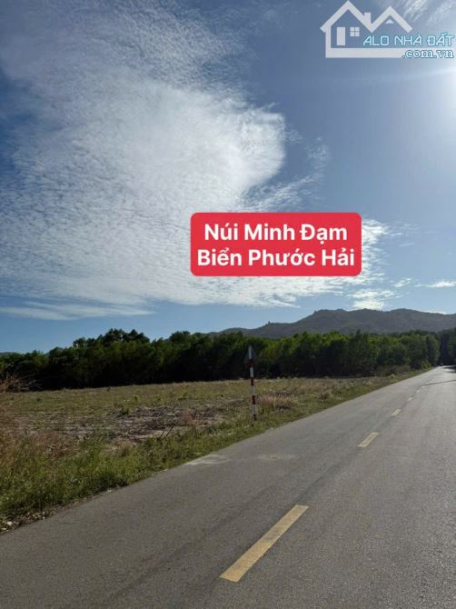 Đất biển nghỉ dưỡng 1800m2 đường nhựa xã Phước Hải -TP Hồ Chí Minh - 2