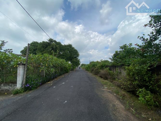 Lô góc đường nhựa Bông Trang, Xuyên Mộc. 281m2 sổ riêng 100m2 tc . 1 tỷ 650 - 2