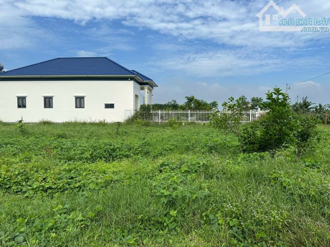 Bán 1410m2 đất Gần Biển Tân Bình, LaGi giá rẻ nhất chỉ 1.3tr/m2 sổ riêng - 2