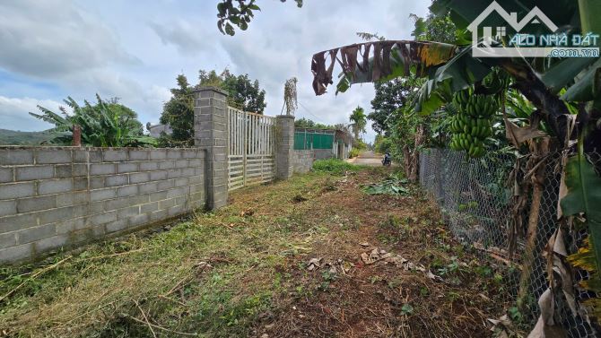 Đất mặt tiền đường 18A1 Tân An ( Hoà Thuận Cũ ) gần chợ Đạt Lý - 2