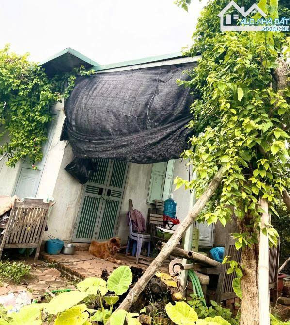 BÁN ĐẤT MẶT ĐÊ QUAI NHẬT TÂN, – 450M² – Ô TÔ TRÁNH – GẦN KHO GHN – CÓ NHÀ CẤP 4 - 2