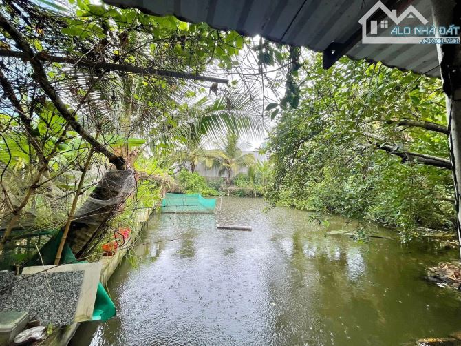 Bán 2500 m2 đường Mạc Thiên Tích xéo Đại Học Cần Thơ - 62 tỷ (thương lượng) - 2