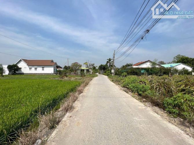 150m2 Thạnh Đức Bến Lức đường xe tải bao san lấp chỉ 1tỷ2 - 2