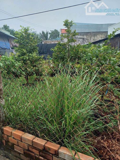 120m2 đất thị trấn Bến Lức Long An giá 1tỷ Sổ hồng riêng - 2