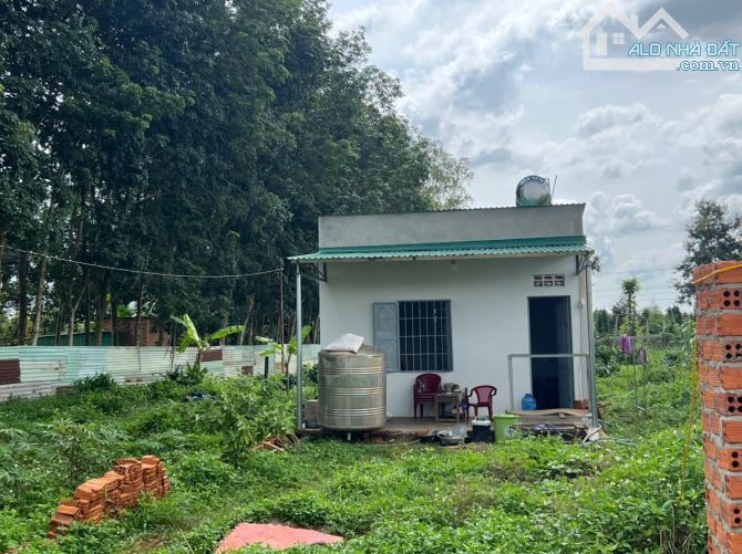 Đất buôn Krong A đối diện ủy ban phường Tân An đi vào - 2