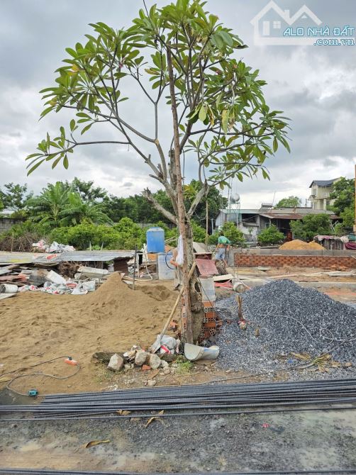 đất rẻ 100m2 2ty450 TL gần TĐC Tứ Hải và KCN Tân Đông Hiệp B chỉ 500m, p.Tân Bình - 3