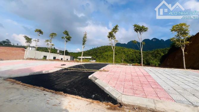 Bán Đất Nền Giá Rẻ Hòa Bình – Sổ Hồng Riêng, Gần Sân Golf Bình Sơn & Khu Nghỉ Dưỡng Khoáng - 3