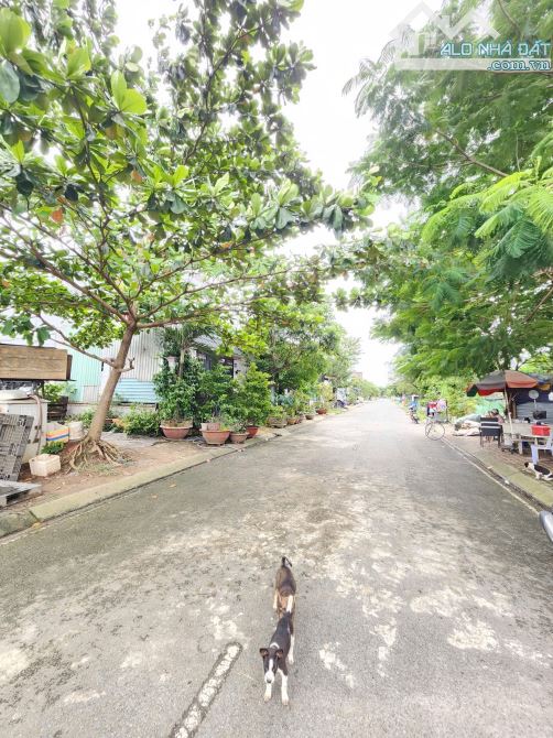đất 100m2 3ty3 TL TĐC Gò Chai P.Bình Hòa Tp.Thuận An - 3