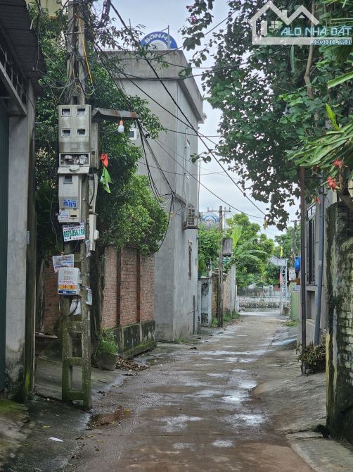 Siêu phẩm F0 Võng Xuyên – lô đất 168m² khổ vuông, vài bước ra hồ, ô tô đỗ cửa, giá cực tốt - 3