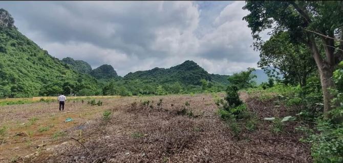 Cần bán đất xóm Điếm Tổng, xã Liên Sơn, huyện Lương Sơn, Hòa Bình, giá hạt rẻ - 3