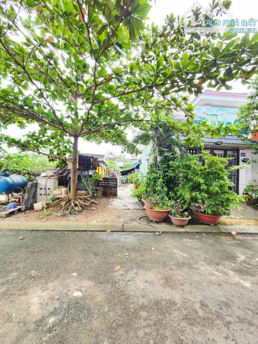 3,3Tỷ TL🔥Bán đất 100m2 TĐC Gò Chai (xây tự do) , P.Bình Hòa, Tp.Thuận An - 3