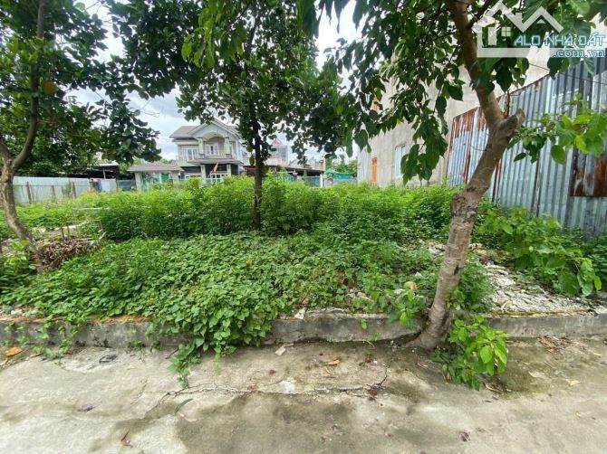 Cần bán lô đất đường ô tô sổ hồng riêng tân bình TP dĩ an bình dương - 3