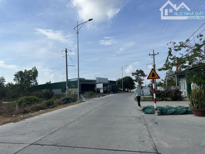 14x30(501m2) 100m2 TC Đinh Công Tráng Tân Tiến LaGi Giá Rẻ Hơn Thị Trường - 3
