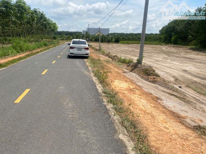495 triệu sở hữu ngay lô đất 10m ngang mặt tiền đường nhựa Minh Thạnh 26 - Lò Rèn - 3