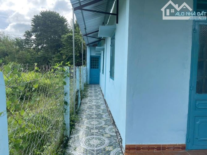 Cần bán nhanh Căn nhà ở Bầu Tre Tân An hội Củ Chi 126m2 Sổ hồng Riêng 650triệu bao PhíThuế - 3