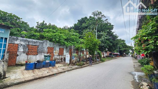 26Tỷ TL🔥Bán 1535m2.đất 2MT gần đường Thủ Khoa Huân 50m( 48x73m2) p.Thuận Giao_Tp.Thuận An - 3