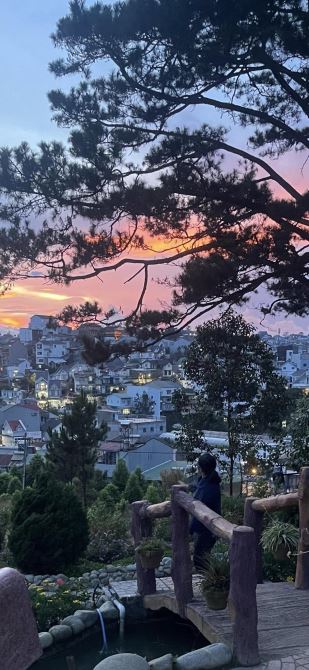 Bán Nhà Phố View thông trung tâm Đà Lạt – cách chợ 1km, 9 phòng ngủ, thu nhập đều. - 3