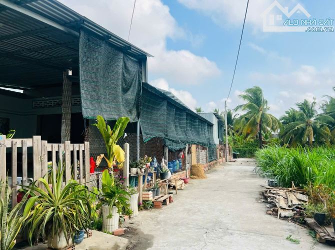 Lô góc 2 Mặt tiền gần Bệnh viện đa Khoa tỉnh Tiền Giang giá 490tr thương lượng - 3