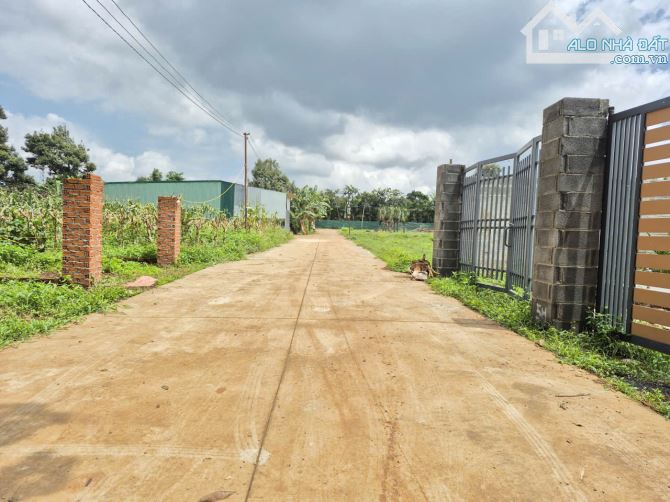 Đất buôn Krong A đối diện ủy ban phường Tân An đi vào - 3