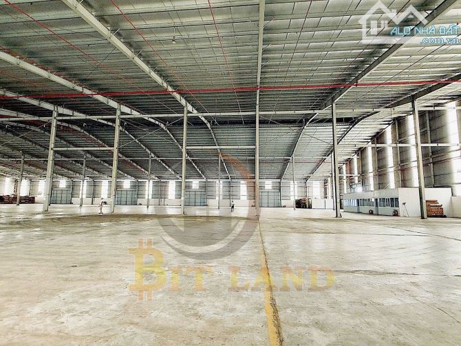 XT209 CHO THUÊ XƯỞNG GIÁ RẺ NHẤT KCN LONG THÀNH - 3
