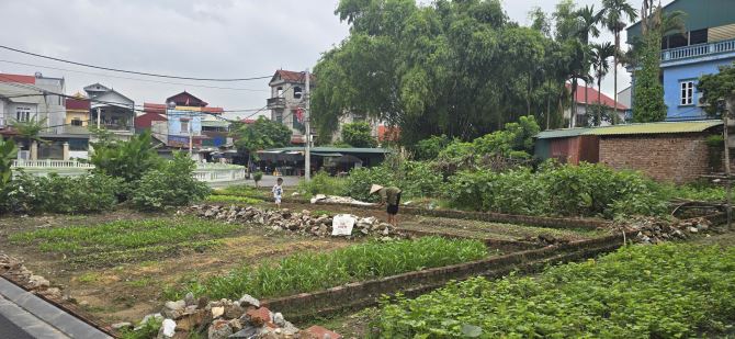 Bán đất mặt Hồ Gia Lộc - Gia Lương, xã Việt Hùng, Đông Anh - Nay là xã Thư Lâm, Thành phố - 4