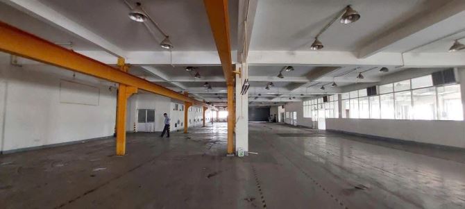 Cho thuê xưởng 12.000m2 Khu Công Nghiệp Amata. Long Bình, Biên Hòa, Đồng Nai - 4