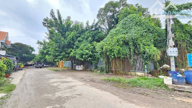 26Tỷ TL🔥Bán 1535m2.đất 2MT gần đường Thủ Khoa Huân 50m( 48x73m2) p.Thuận Giao_Tp.Thuận An - 4