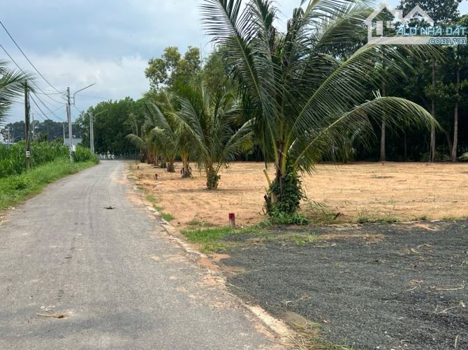 Chủ gửi 4 lô F0 mặt tiền đường nhựa thị trấn Đất Đỏ - 4