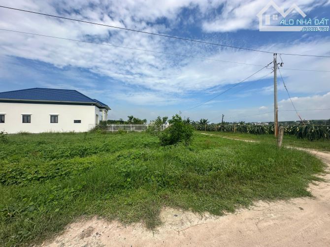 Bán 1410m2 đất Gần Biển Tân Bình, LaGi giá rẻ nhất chỉ 1.3tr/m2 sổ riêng - 4
