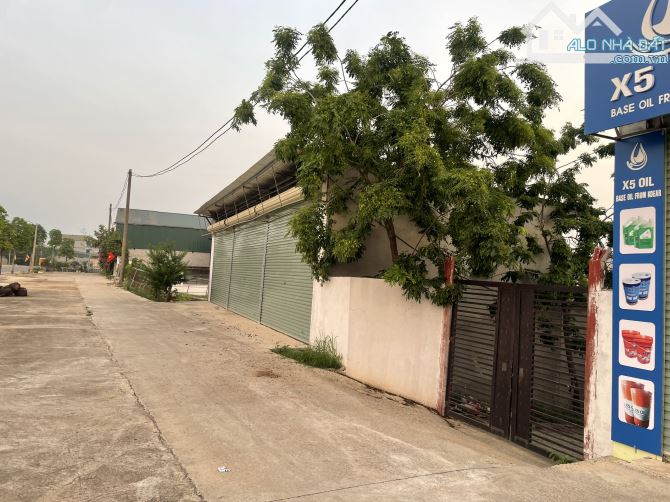SIÊU CƠ HỘI – ĐẤT TRUNG TÂM XÃ QUẢNG OAI – BA VÌ CHỈ 60 TRIỆU/M² - 4