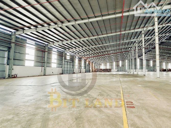 XT209 CHO THUÊ XƯỞNG GIÁ RẺ NHẤT KCN LONG THÀNH - 4