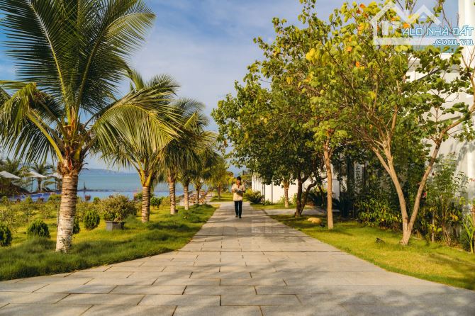 Cần chuyển nhượng khu nghỉ dưỡng tại thiên đường biển Quy Nhơn - 5